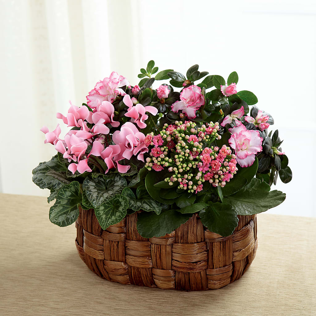 Pink Assortment – Heaven Sent Florist, El Paso TX