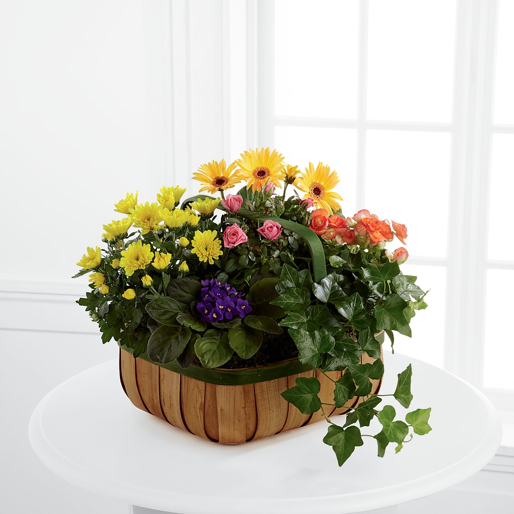 Gentle Blossoms Basket – Heaven Sent Florist, El Paso TX