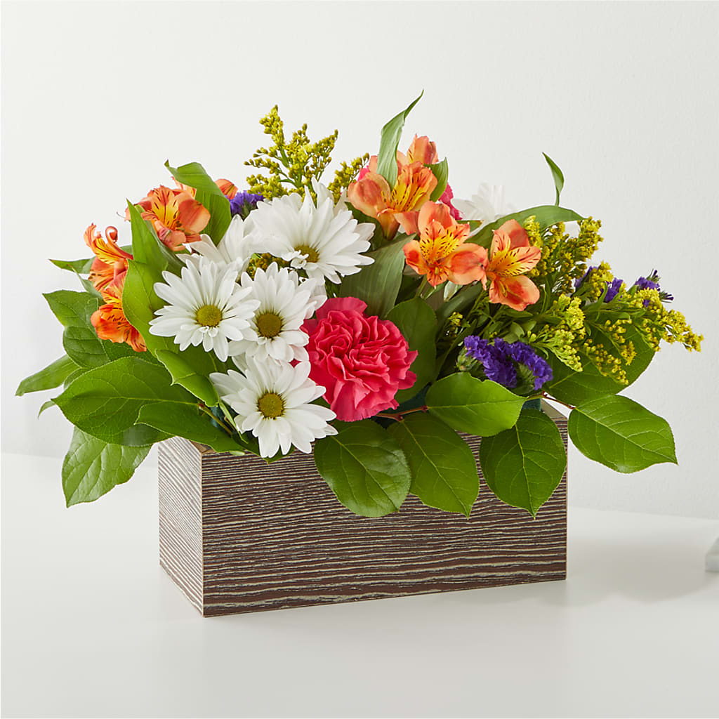 Oopsie Daisy Box Bouquet – Heaven Sent Florist, El Paso TX