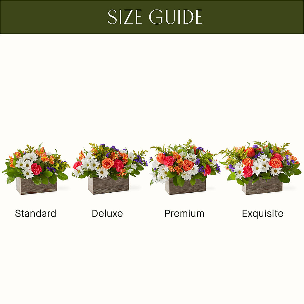 Oopsie Daisy Box Bouquet – Heaven Sent Florist, El Paso TX