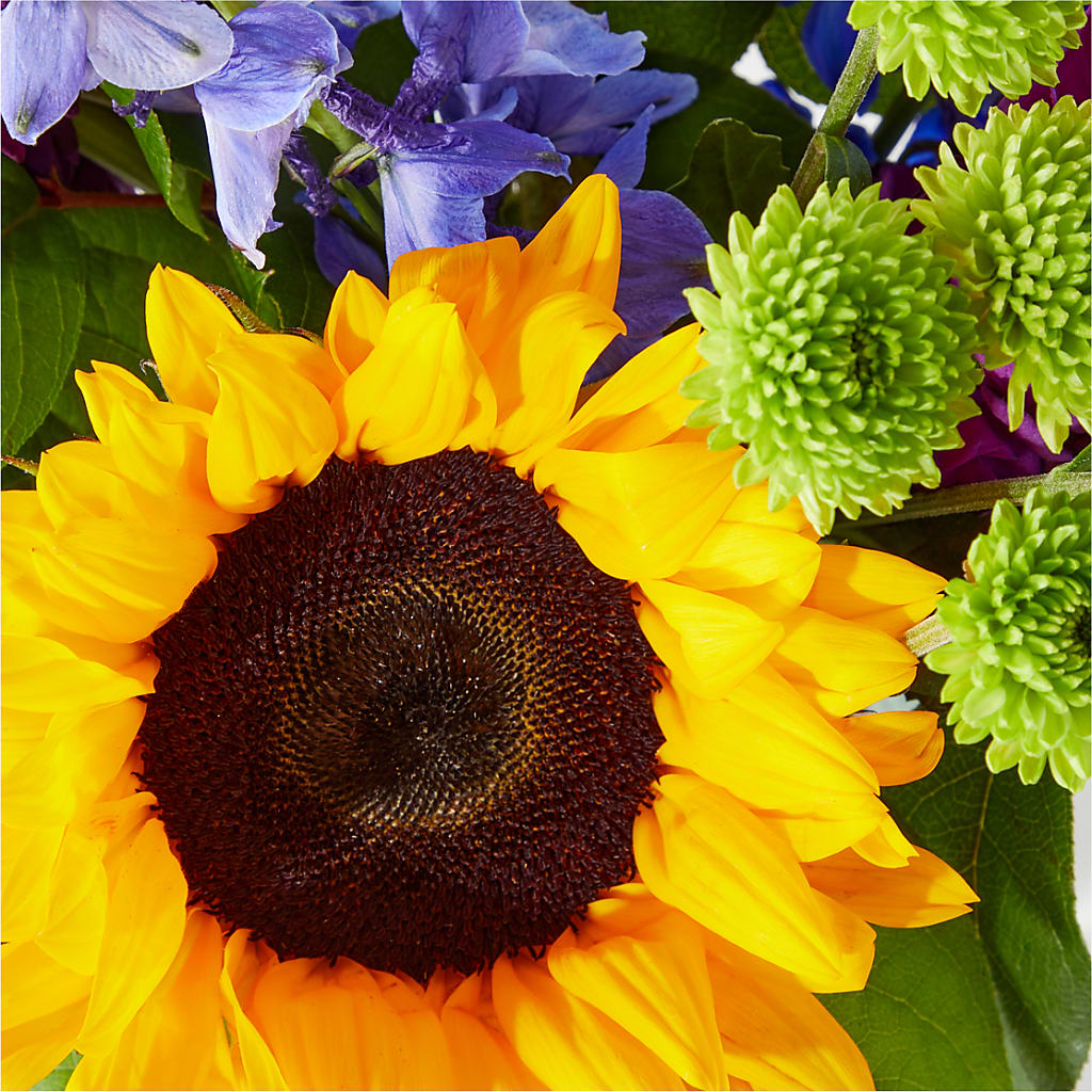 Catching Rays Bouquet – Heaven Sent Florist, El Paso TX