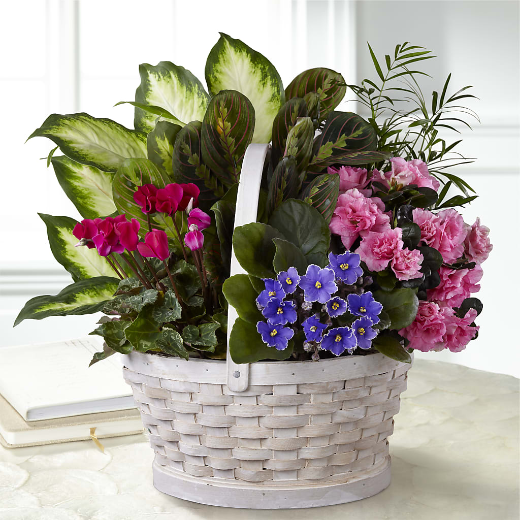 Peaceful Garden Planter – Heaven Sent Florist, El Paso TX