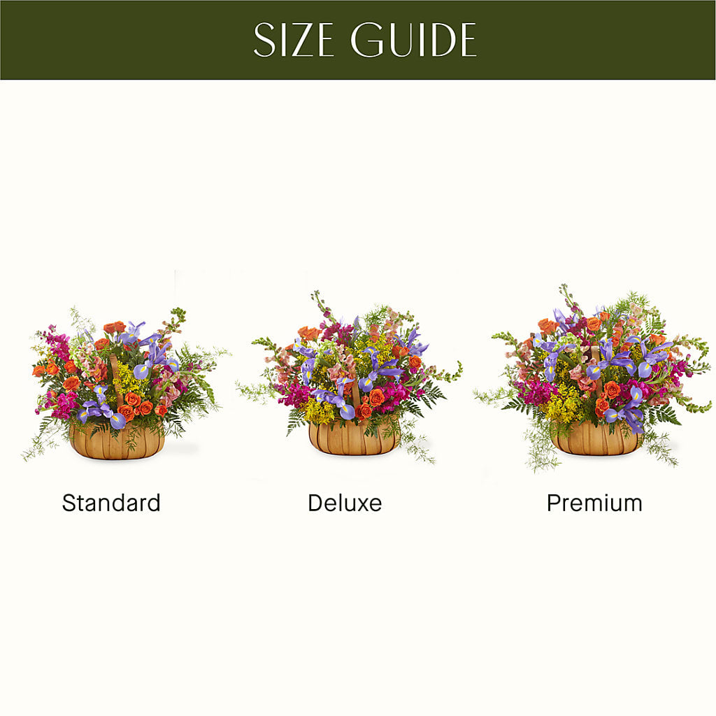 Garden of Life Basket – Heaven Sent Florist, El Paso TX