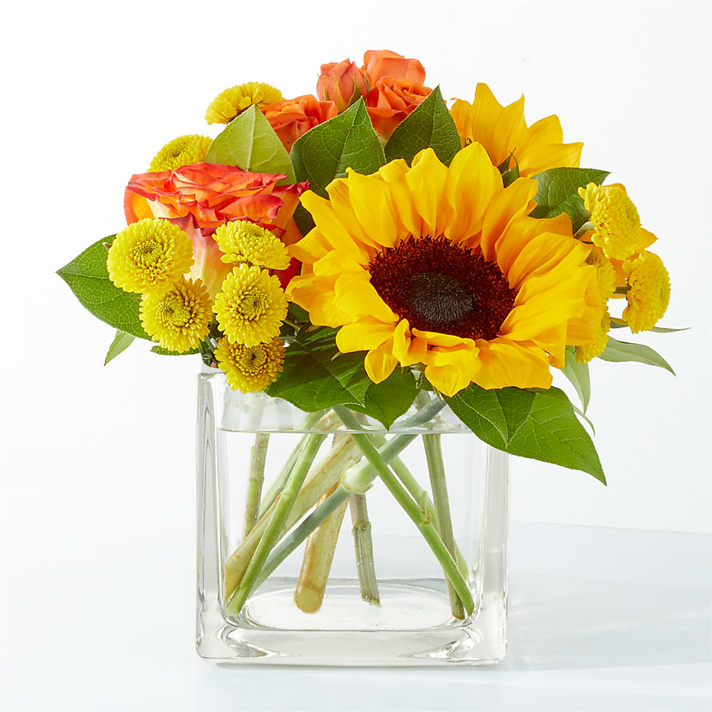Picnic in the Park Bouquet – Heaven Sent Florist, El Paso TX