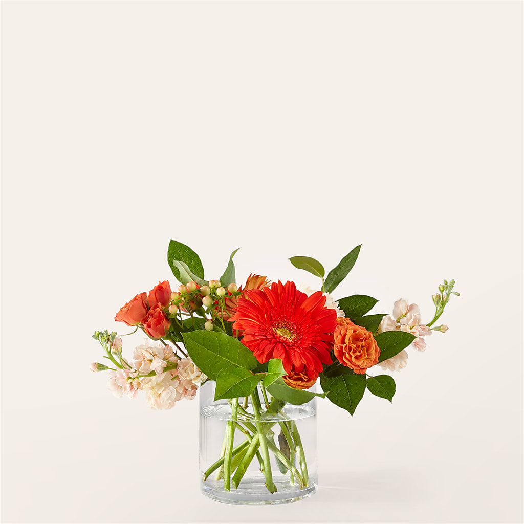 Paloma Please Bouquet – Heaven Sent Florist, El Paso TX
