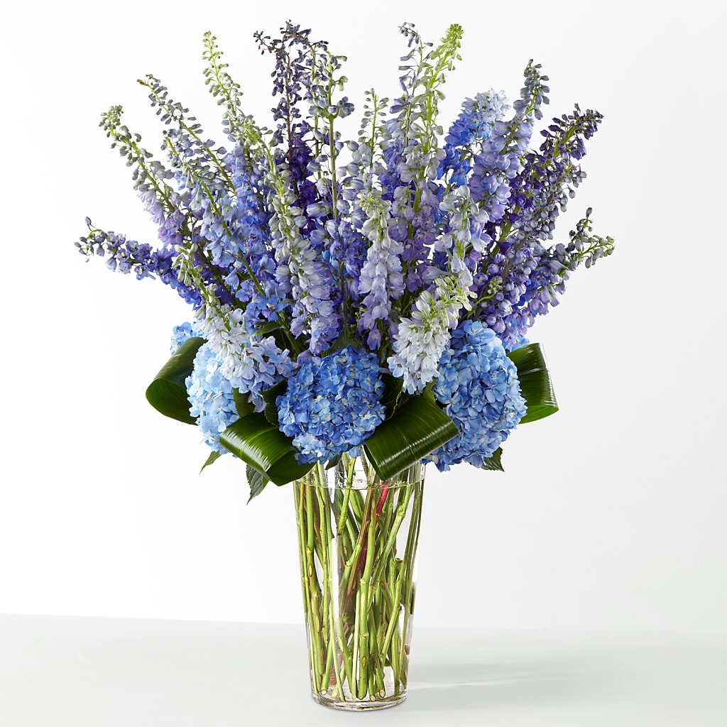 The Editorial – Heaven Sent Florist, El Paso TX
