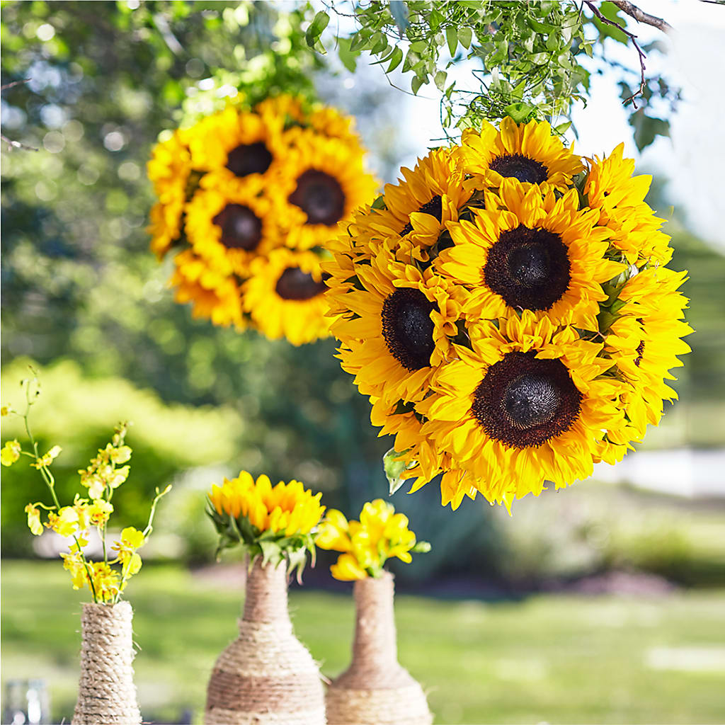 Sublime Garden Hanging Arrangement – Heaven Sent Florist, El Paso TX