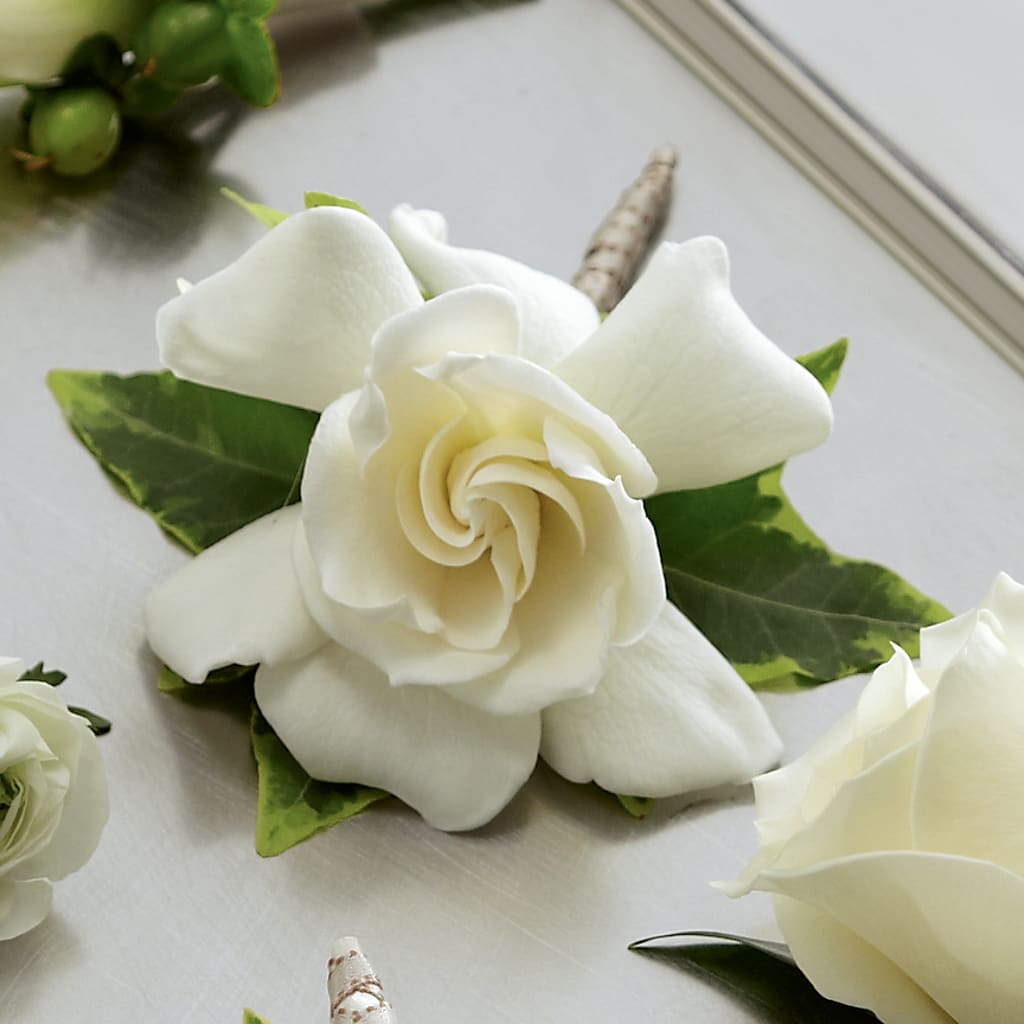 Gardenia Boutonniere – Heaven Sent Florist, El Paso TX