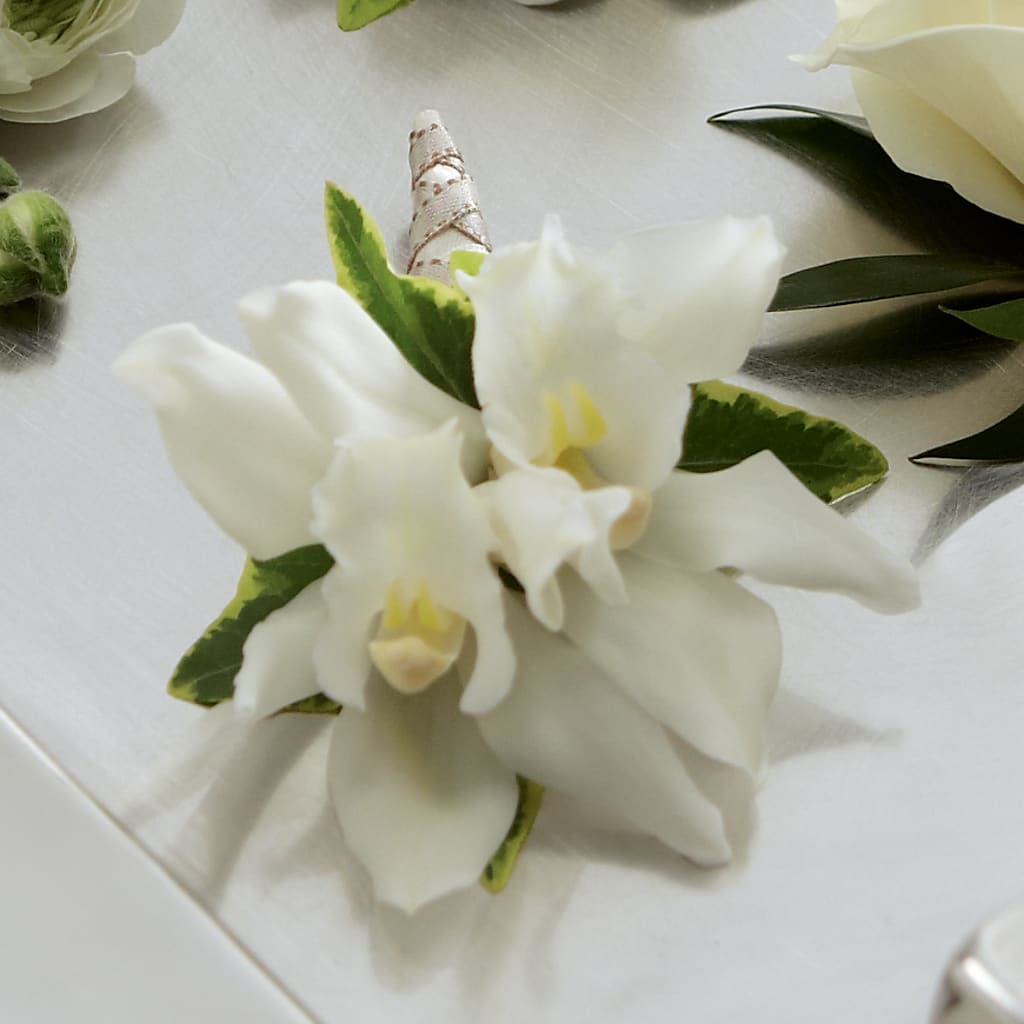 White Mini Cymbidium Boutonniere – Heaven Sent Florist, El Paso TX
