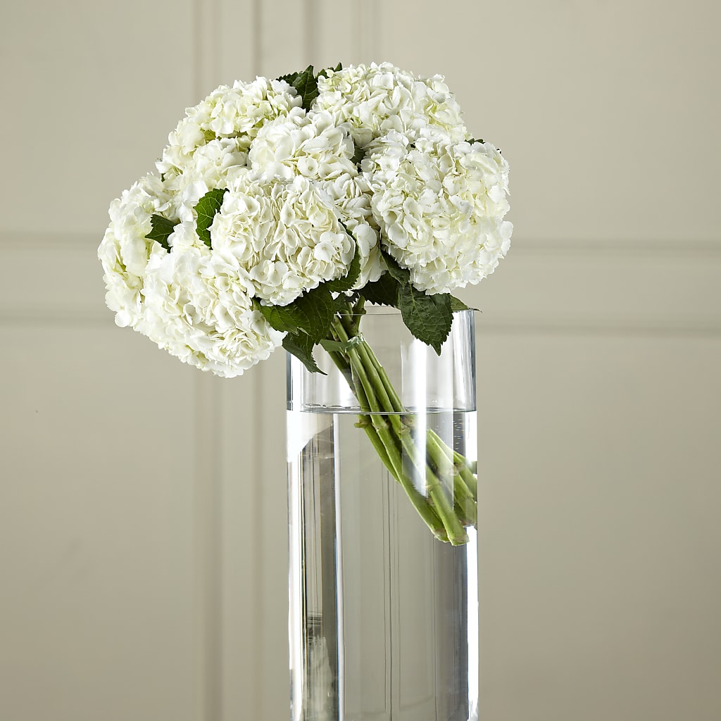 White Hydrangea Hand-Tied Bouquet – Heaven Sent Florist, El Paso TX