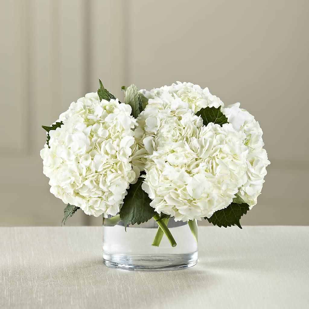 White Hydrangea Bouquet – Heaven Sent Florist, El Paso TX
