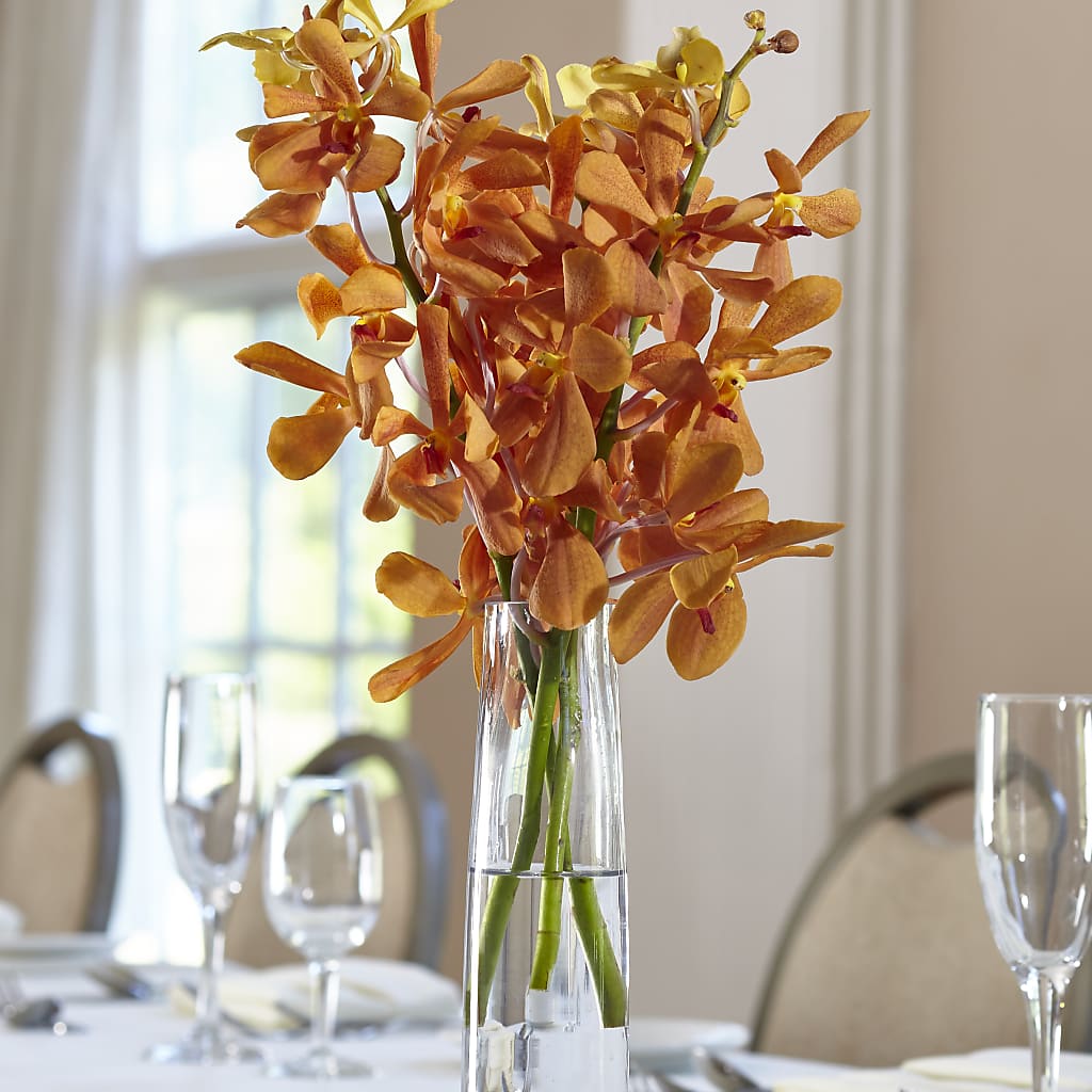 Orange Mokara Bud Vase – Heaven Sent Florist, El Paso TX