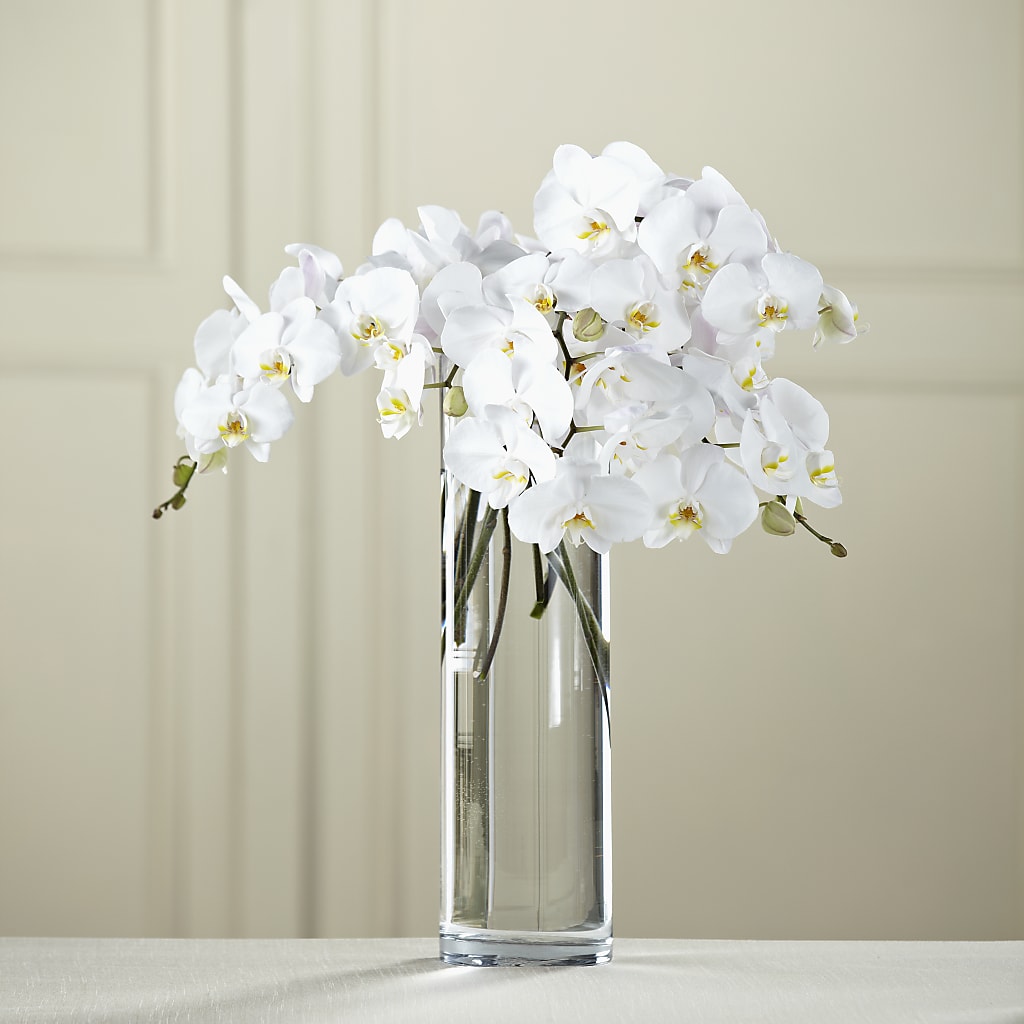 White Phalaenopsis Bouquet – Heaven Sent Florist, El Paso TX