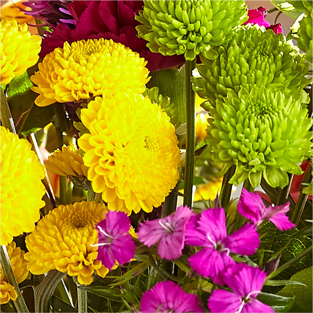 Bold & Bright – A Florist Original –  Heaven Sent Florist, El Paso TX
