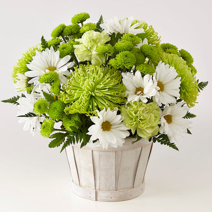 Lucky Charm Basket (Standard) –  Heaven Sent Florist, El Paso TX