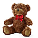 Adorable Plush Bear –  Heaven Sent Florist, El Paso TX