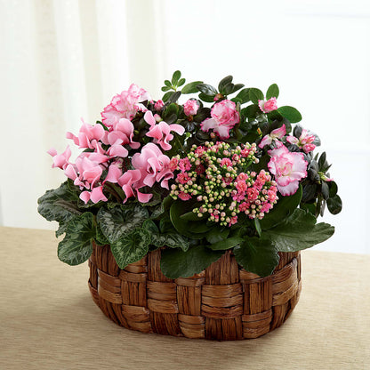 Pink Assortment –  Heaven Sent Florist, El Paso TX