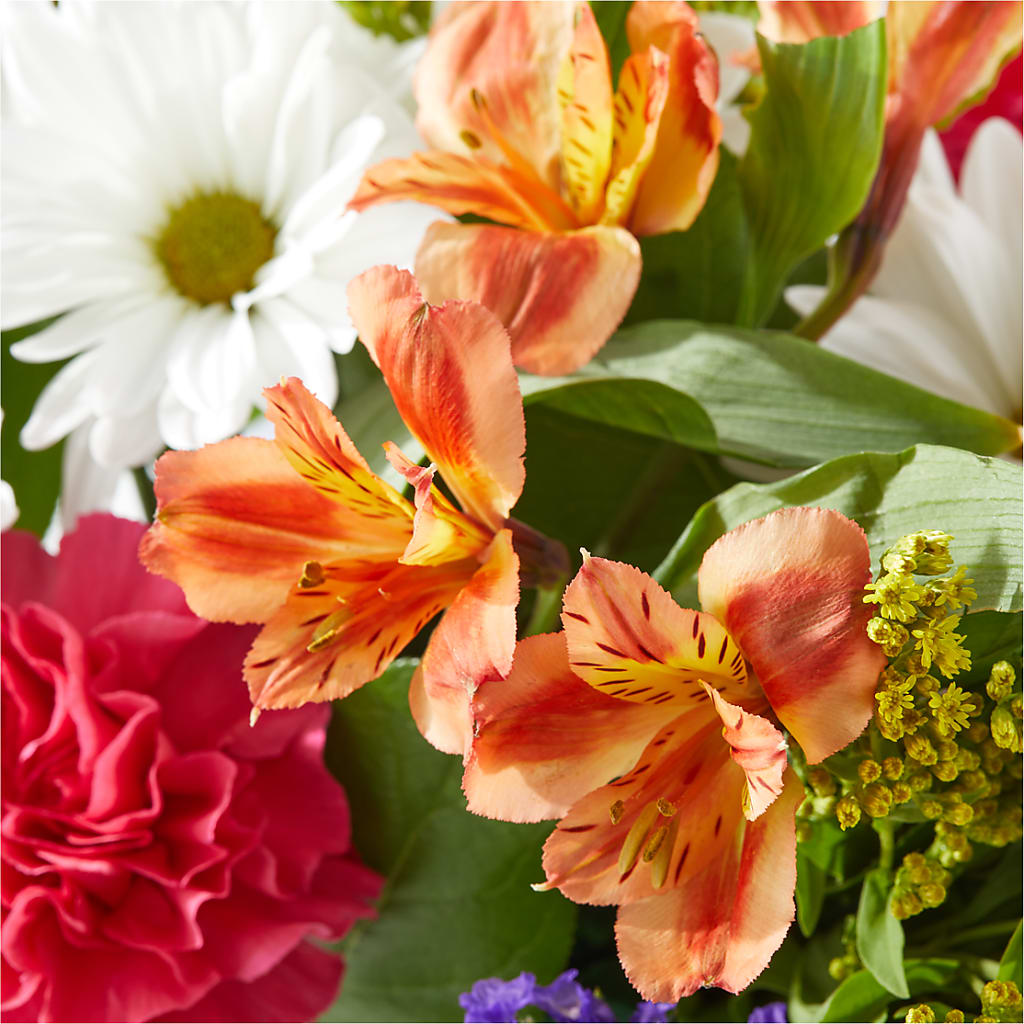 Oopsie Daisy Box Bouquet –  Heaven Sent Florist, El Paso TX