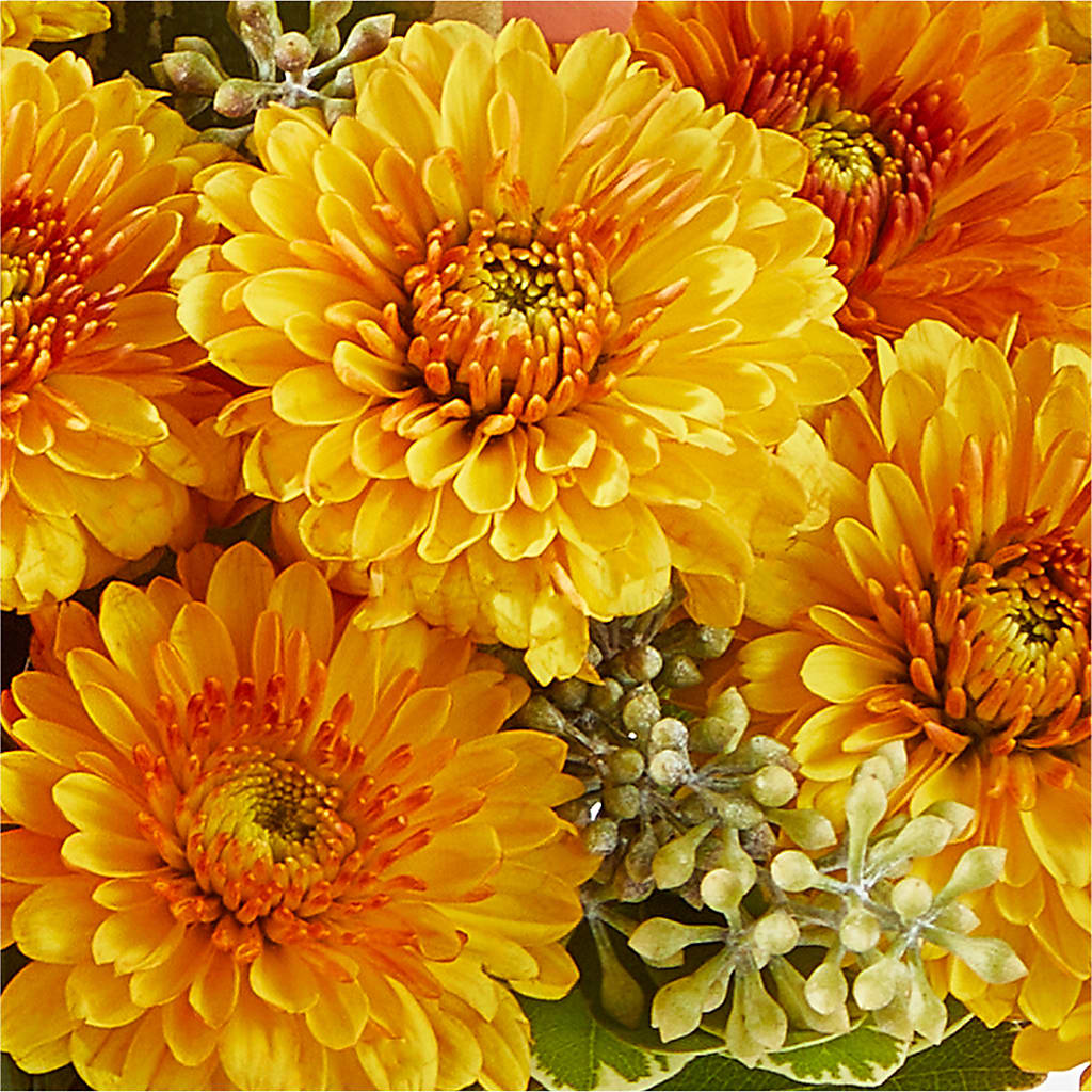 Peachy Pumpkin –  Heaven Sent Florist, El Paso TX