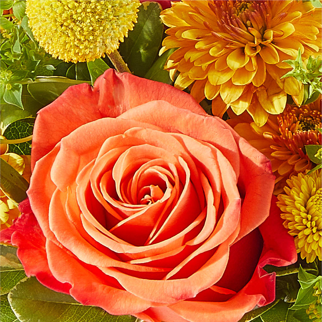 Gourdgeous Pumpkin –  Heaven Sent Florist, El Paso TX