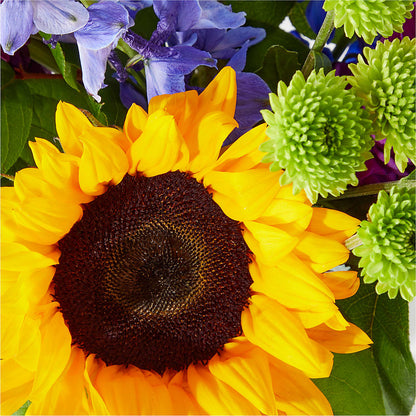 Catching Rays Bouquet –  Heaven Sent Florist, El Paso TX