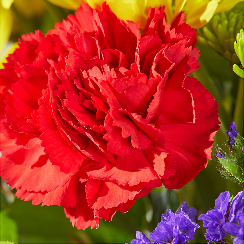 Brighter Days Bouquet –  Heaven Sent Florist, El Paso TX
