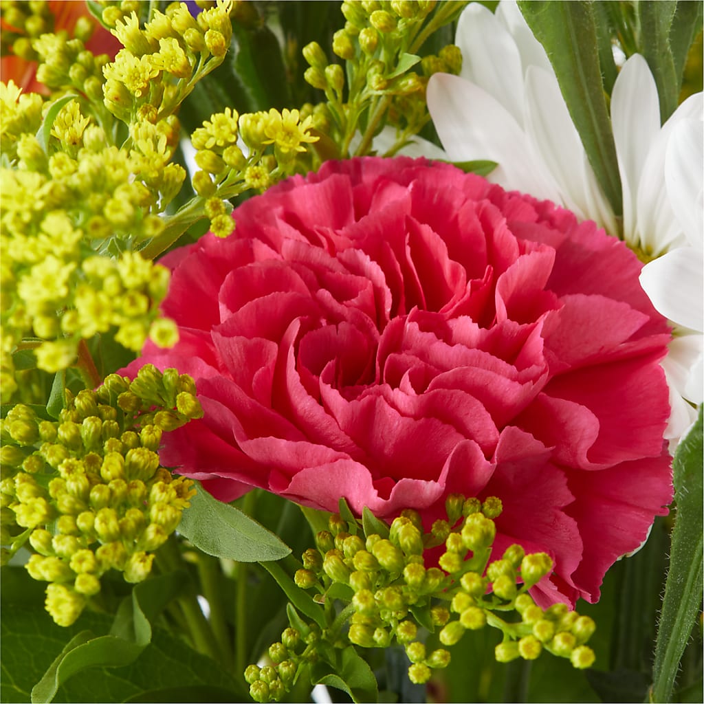 Oopsie Daisy Bouquet –  Heaven Sent Florist, El Paso TX