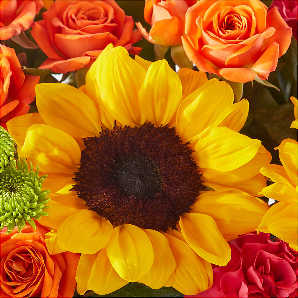 Sun-drenched Blooms Box Bouquet –  Heaven Sent Florist, El Paso TX
