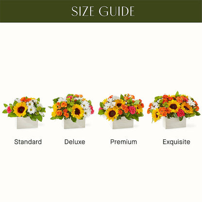 Sun-drenched Blooms Box Bouquet –  Heaven Sent Florist, El Paso TX