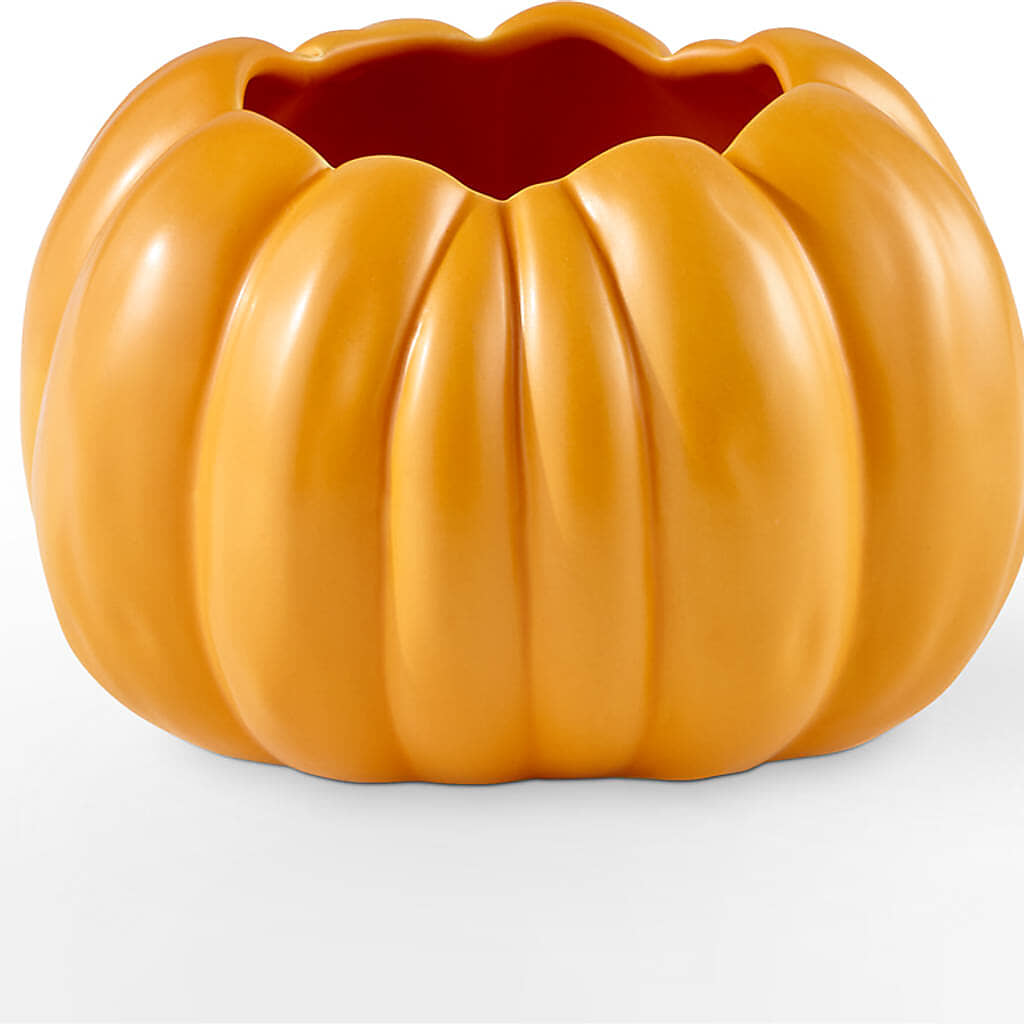 Golden Gourd Pumpkin Bouquet –  Heaven Sent Florist, El Paso TX