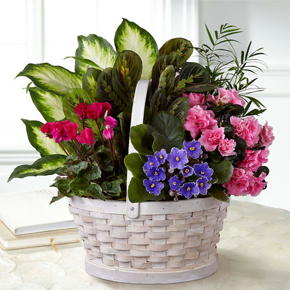 Peaceful Garden Planter –  Heaven Sent Florist, El Paso TX