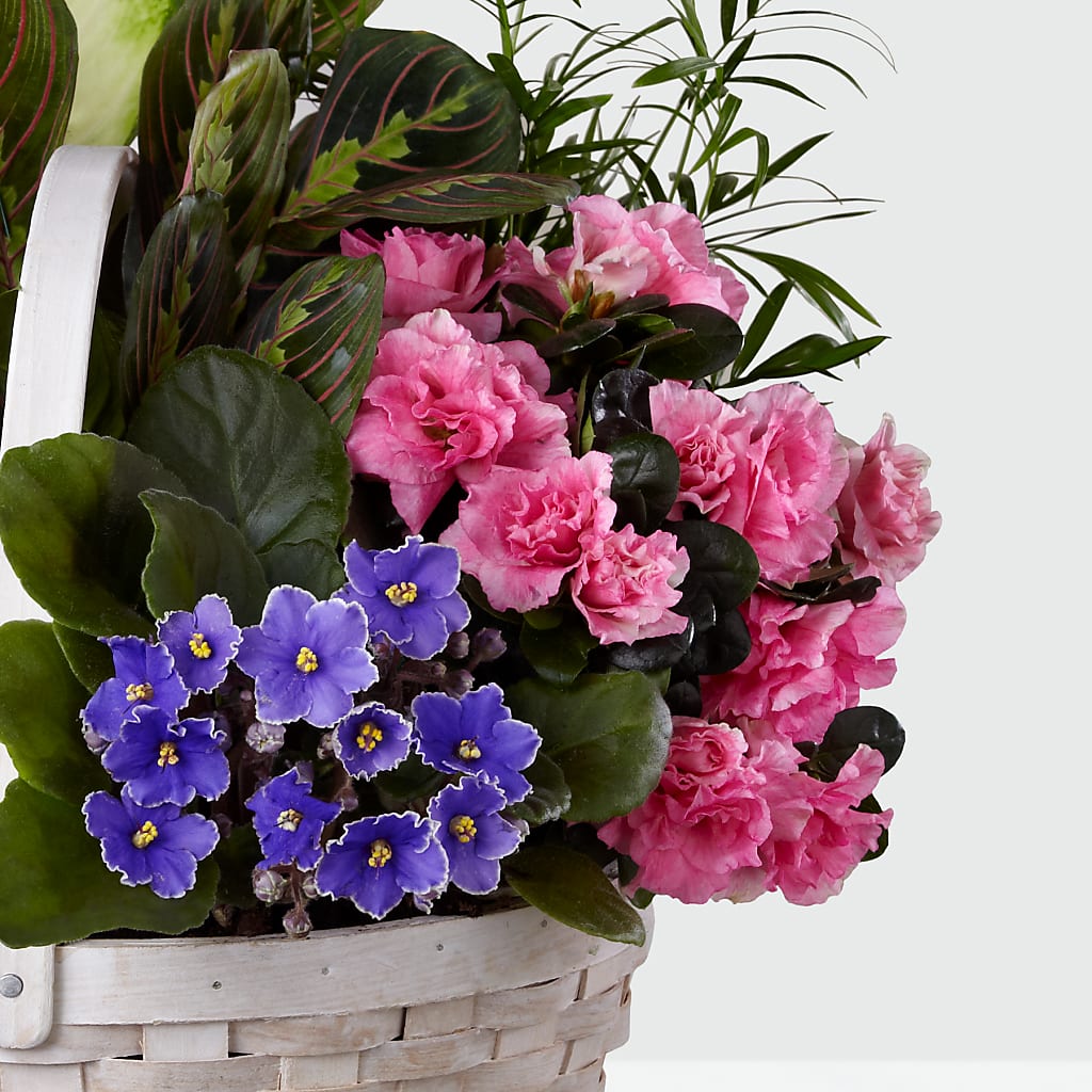 Peaceful Garden Planter –  Heaven Sent Florist, El Paso TX