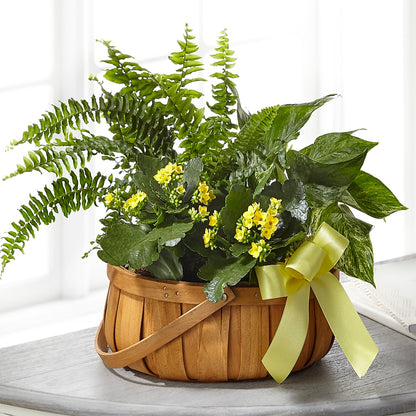Always Dear Dishgarden –  Heaven Sent Florist, El Paso TX