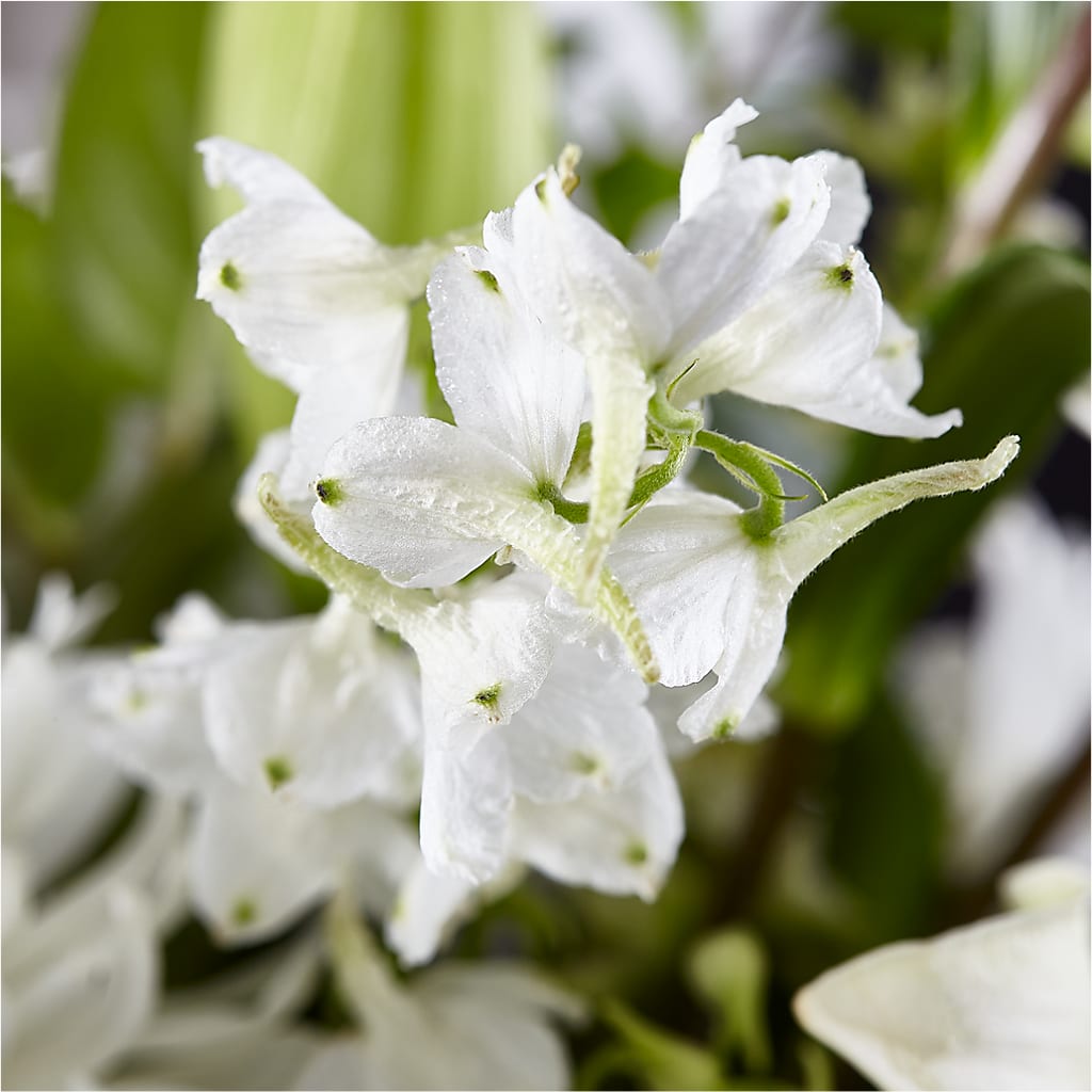 Classic Ivory – A Florist Original –  Heaven Sent Florist, El Paso TX
