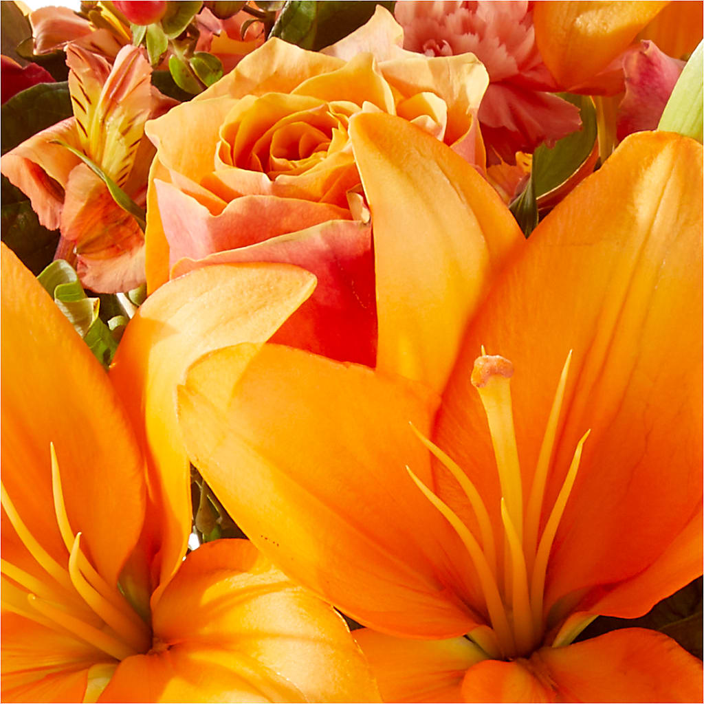 Afternoon Light Bouquet –  Heaven Sent Florist, El Paso TX