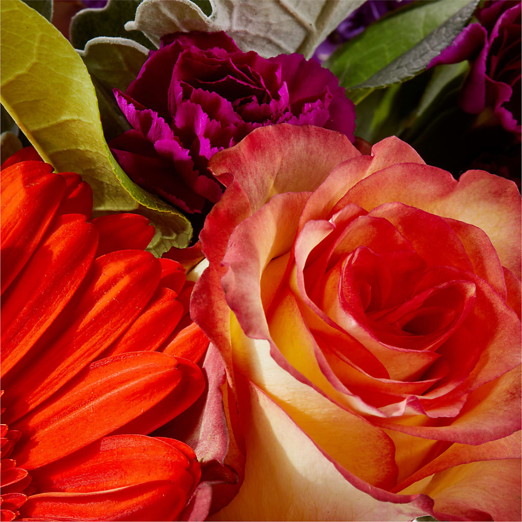 Sangria Bouquet –  Heaven Sent Florist, El Paso TX