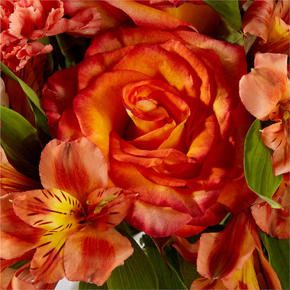 Apricot Glow Bouquet –  Heaven Sent Florist, El Paso TX