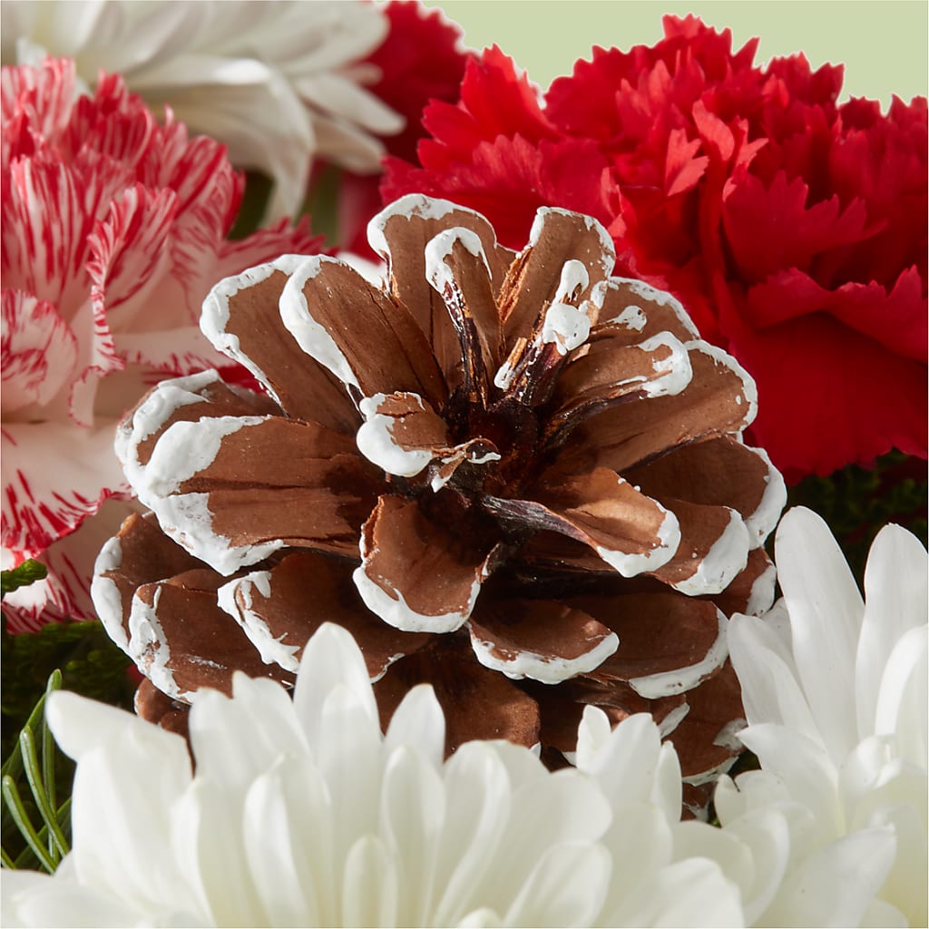 Candy Cane Lane Bouquet –  Heaven Sent Florist, El Paso TX
