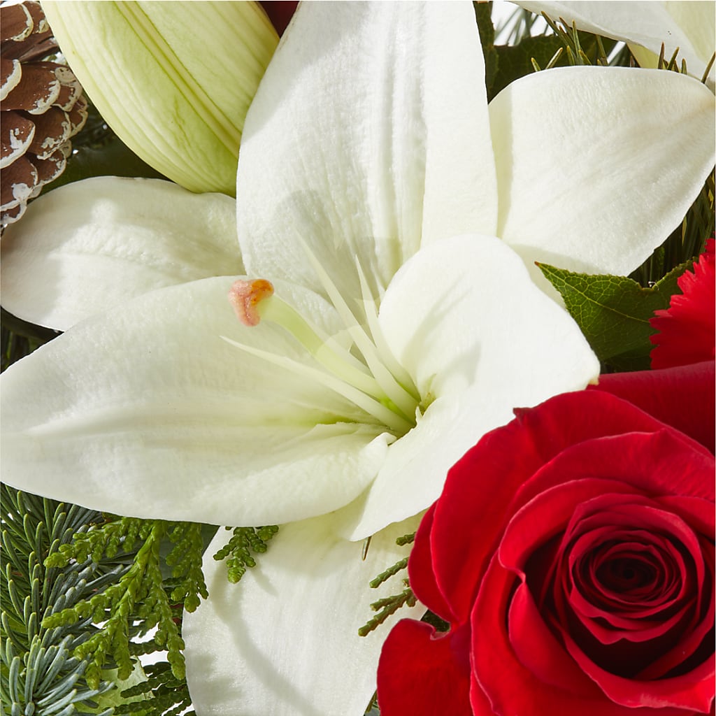 Oh So Jolly Bouquet –  Heaven Sent Florist, El Paso TX