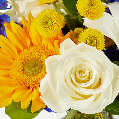 Stargazing Bouquet –  Heaven Sent Florist, El Paso TX