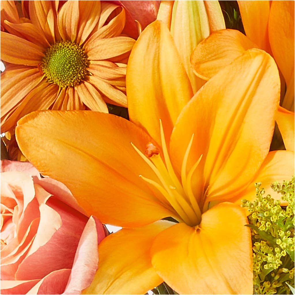 Harvest Hayride Bouquet –  Heaven Sent Florist, El Paso TX