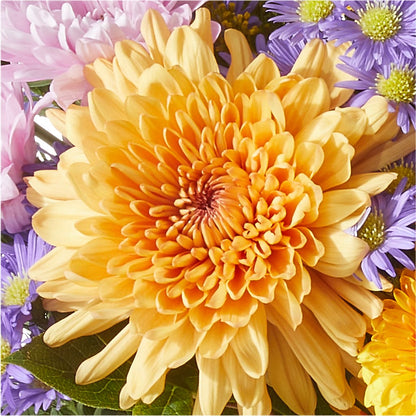 Countryside Bouquet –  Heaven Sent Florist, El Paso TX