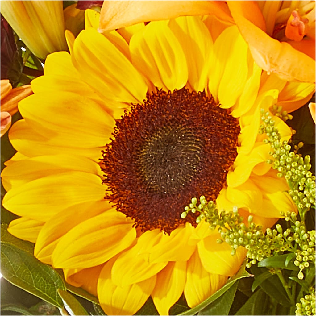 Seasons Change Bouquet –  Heaven Sent Florist, El Paso TX