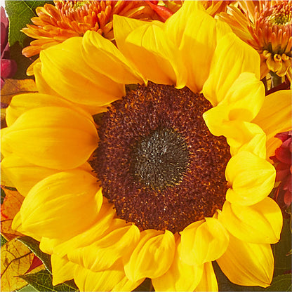 Sunny Side Bouquet –  Heaven Sent Florist, El Paso TX