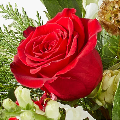 Deck the Halls Bouquet –  Heaven Sent Florist, El Paso TX