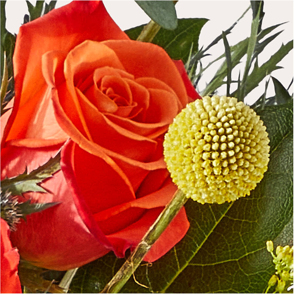 Disco Bouquet –  Heaven Sent Florist, El Paso TX