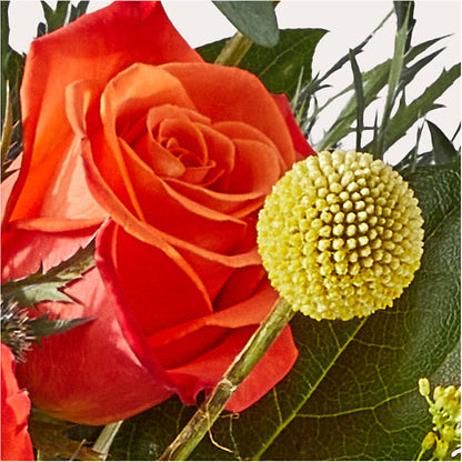 Disco Bouquet –  Heaven Sent Florist, El Paso TX