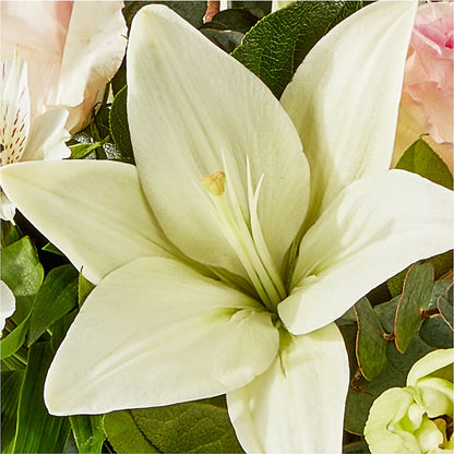 Ballet Slippers Bouquet –  Heaven Sent Florist, El Paso TX
