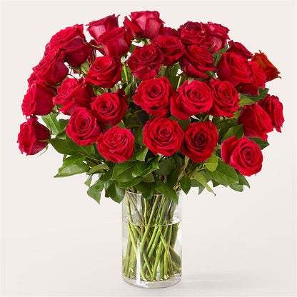 The One Red Rose Bouquet –  Heaven Sent Florist, El Paso TX