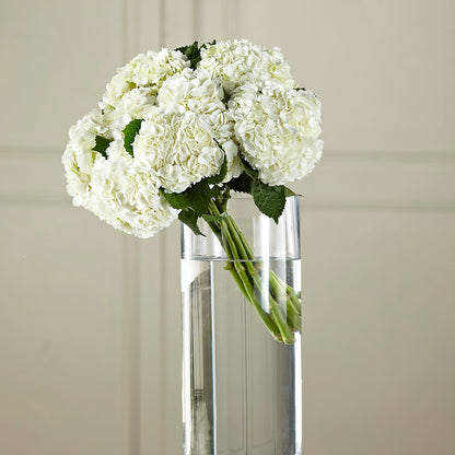 White Hydrangea Hand-Tied Bouquet –  Heaven Sent Florist, El Paso TX